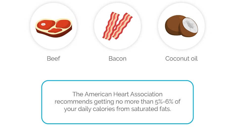 types of fat infographic