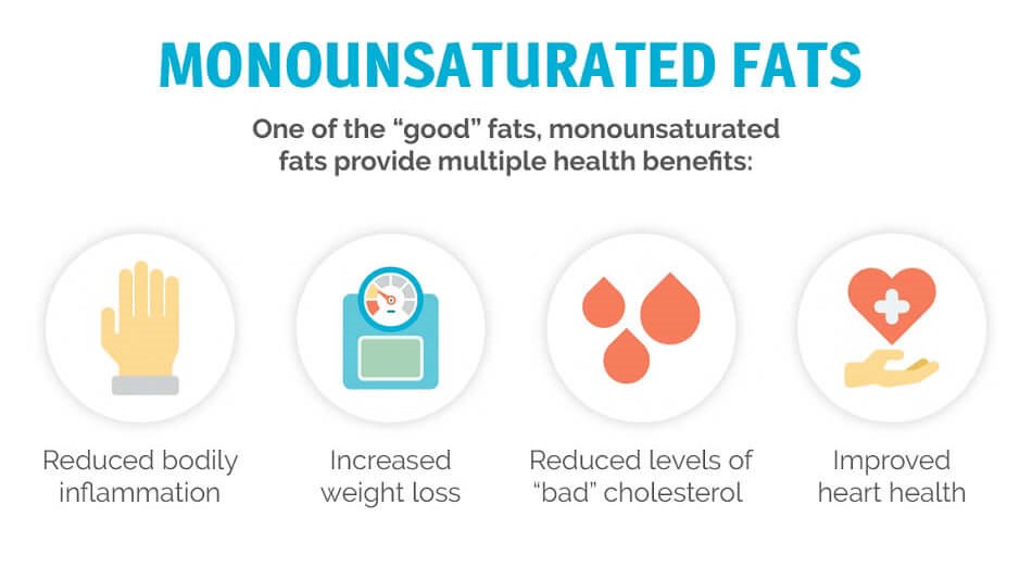 types of fat infographic