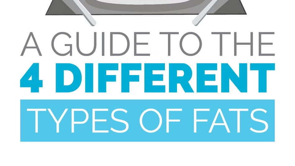 types of fat infographic