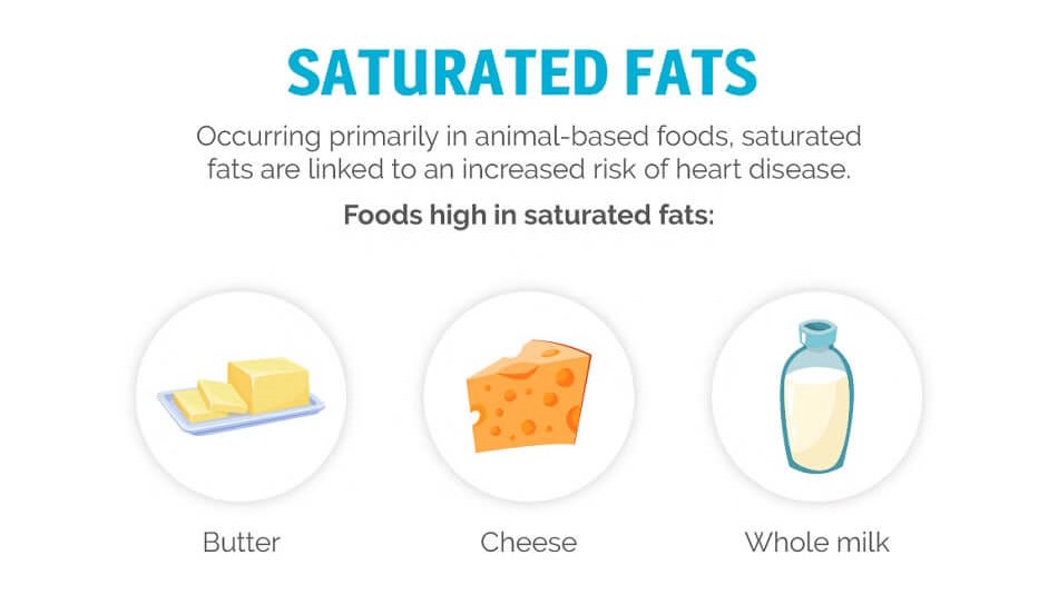 types of fat infographic
